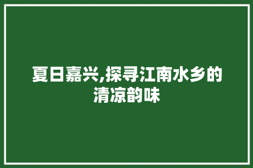 夏日嘉兴,探寻江南水乡的清凉韵味