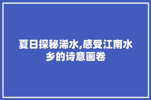 夏日探秘浠水,感受江南水乡的诗意画卷
