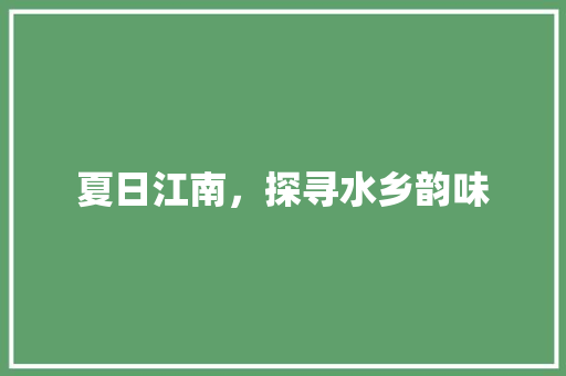 夏日江南，探寻水乡韵味