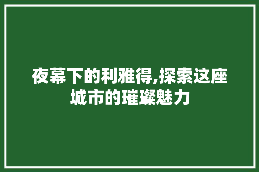 夜幕下的利雅得,探索这座城市的璀璨魅力