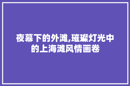 夜幕下的外滩,璀璨灯光中的上海滩风情画卷