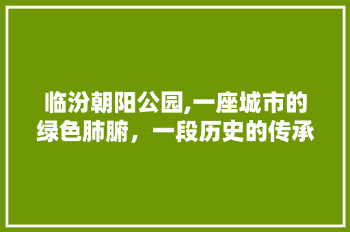 临汾朝阳公园,一座城市的绿色肺腑，一段历史的传承足迹  第1张