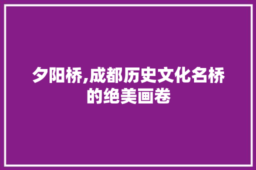 夕阳桥,成都历史文化名桥的绝美画卷