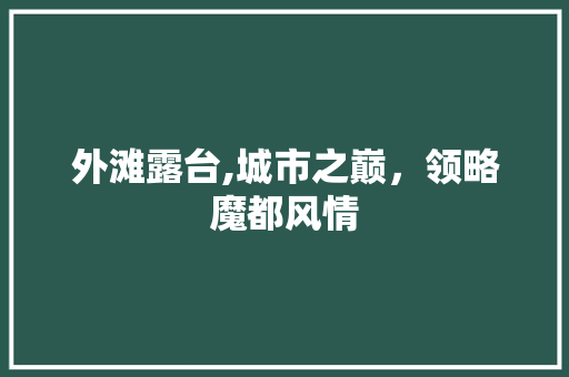 外滩露台,城市之巅，领略魔都风情