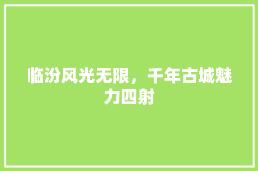 临汾风光无限，千年古城魅力四射