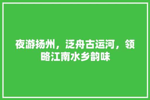 夜游扬州，泛舟古运河，领略江南水乡韵味