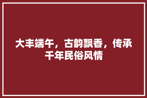 大丰端午，古韵飘香，传承千年民俗风情