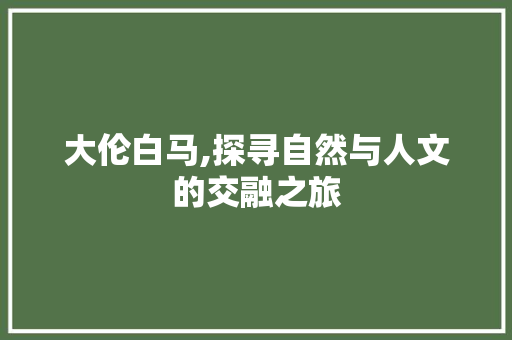 大伦白马,探寻自然与人文的交融之旅