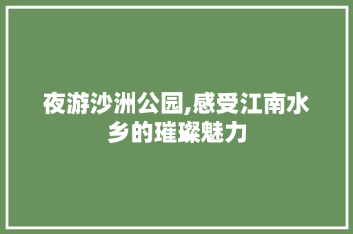 夜游沙洲公园,感受江南水乡的璀璨魅力
