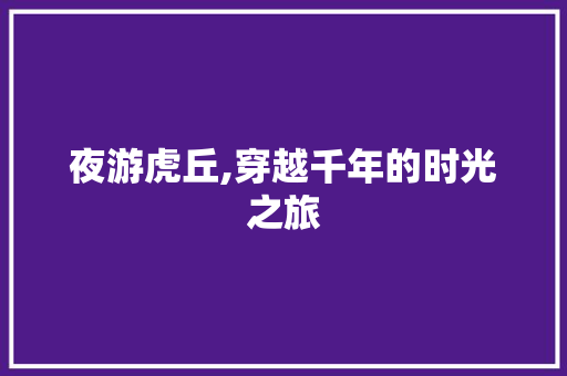 夜游虎丘,穿越千年的时光之旅