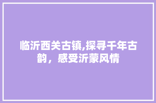 临沂西关古镇,探寻千年古韵，感受沂蒙风情