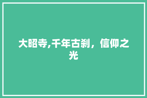 大昭寺,千年古刹，信仰之光