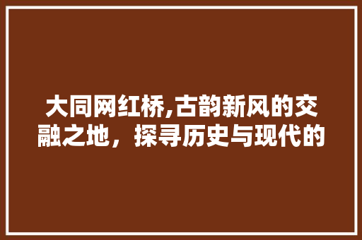 大同网红桥,古韵新风的交融之地，探寻历史与现代的奇妙邂逅