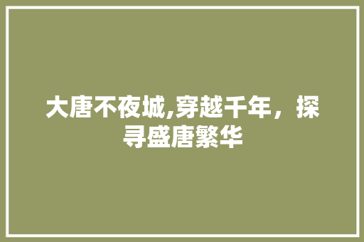 大唐不夜城,穿越千年，探寻盛唐繁华