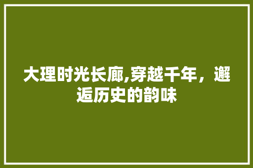 大理时光长廊,穿越千年，邂逅历史的韵味