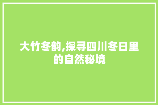 大竹冬韵,探寻四川冬日里的自然秘境