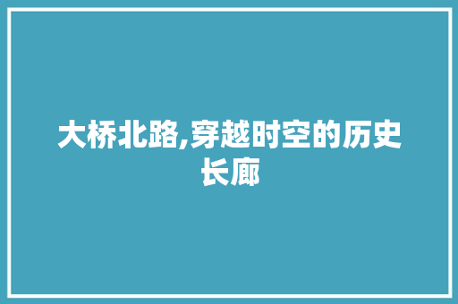 大桥北路,穿越时空的历史长廊