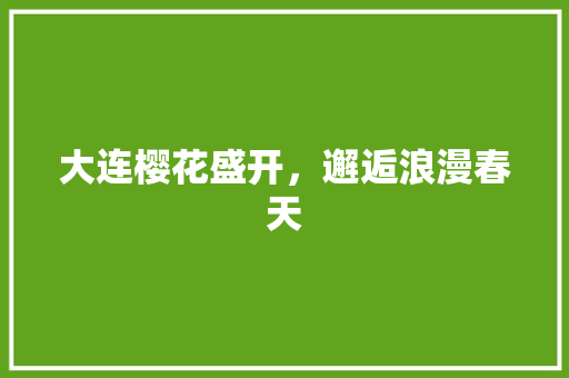 大连樱花盛开，邂逅浪漫春天