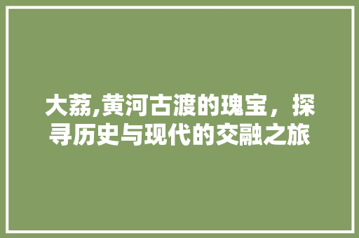 大荔,黄河古渡的瑰宝，探寻历史与现代的交融之旅