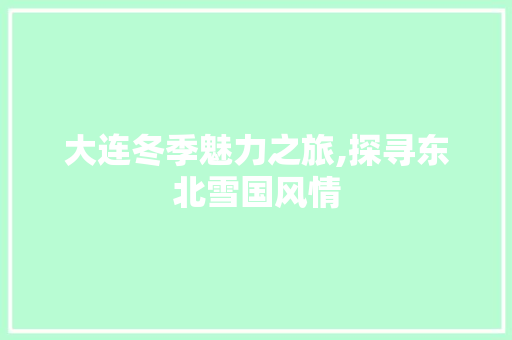 大连冬季魅力之旅,探寻东北雪国风情