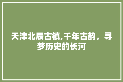 天津北辰古镇,千年古韵，寻梦历史的长河