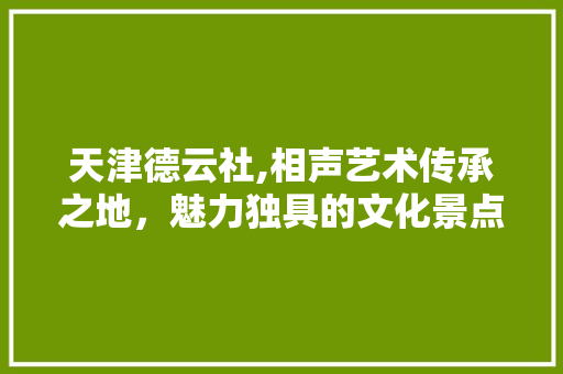 天津德云社,相声艺术传承之地，魅力独具的文化景点