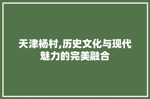 天津杨村,历史文化与现代魅力的完美融合