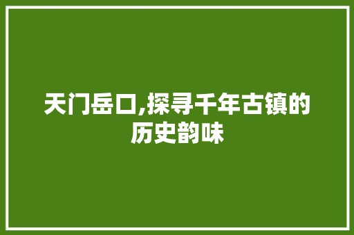 天门岳口,探寻千年古镇的历史韵味