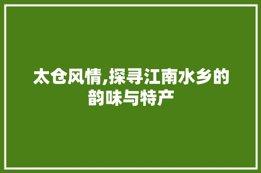 太仓风情,探寻江南水乡的韵味与特产