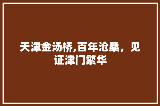 天津金汤桥,百年沧桑，见证津门繁华