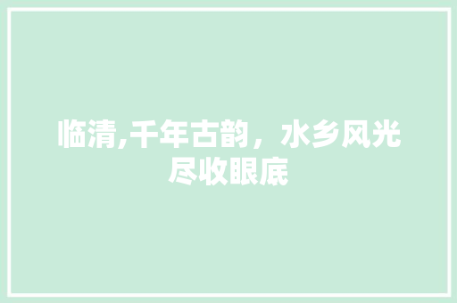 临清,千年古韵，水乡风光尽收眼底