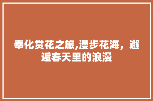 奉化赏花之旅,漫步花海，邂逅春天里的浪漫