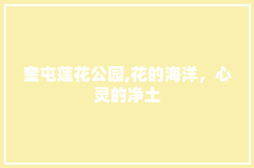 奎屯莲花公园,花的海洋，心灵的净土