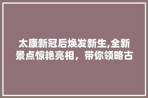 太康新冠后焕发新生,全新景点惊艳亮相，带你领略古都新风采