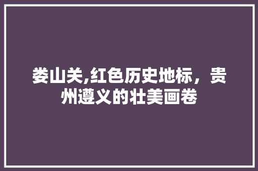 娄山关,红色历史地标，贵州遵义的壮美画卷  第1张