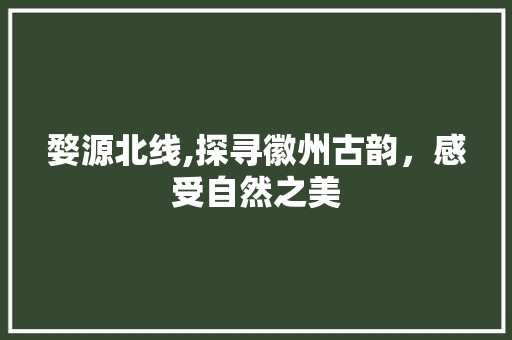 婺源北线,探寻徽州古韵，感受自然之美