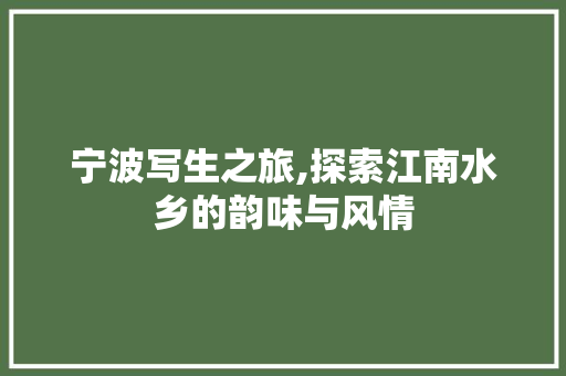 宁波写生之旅,探索江南水乡的韵味与风情