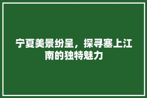 宁夏美景纷呈，探寻塞上江南的独特魅力