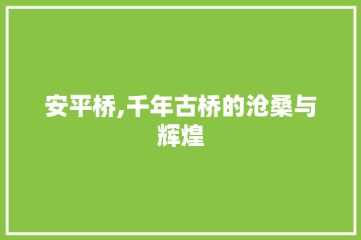 安平桥,千年古桥的沧桑与辉煌  第1张