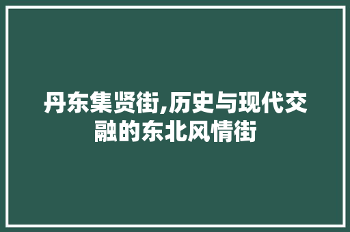 丹东集贤街,历史与现代交融的东北风情街  第1张