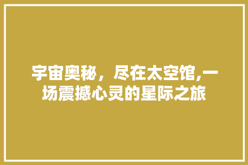 宇宙奥秘，尽在太空馆,一场震撼心灵的星际之旅