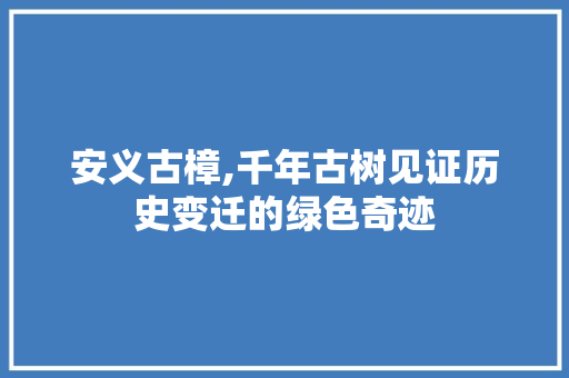 安义古樟,千年古树见证历史变迁的绿色奇迹  第1张