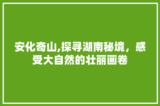 安化奇山,探寻湖南秘境，感受大自然的壮丽画卷