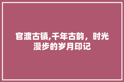 官渡古镇,千年古韵，时光漫步的岁月印记