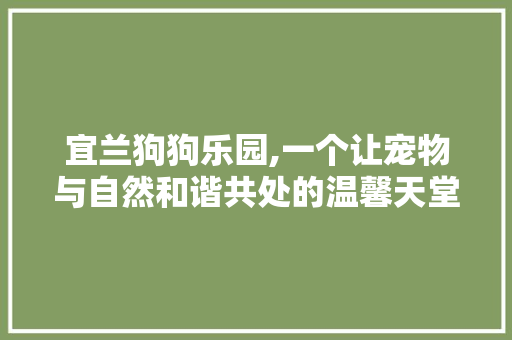 宜兰狗狗乐园,一个让宠物与自然和谐共处的温馨天堂