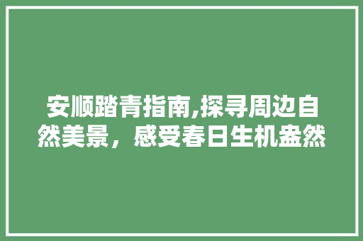 安顺踏青指南,探寻周边自然美景，感受春日生机盎然