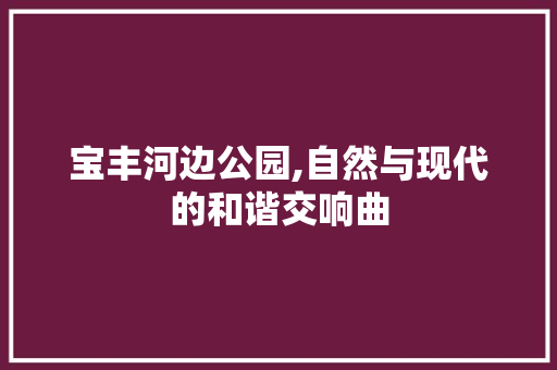 宝丰河边公园,自然与现代的和谐交响曲