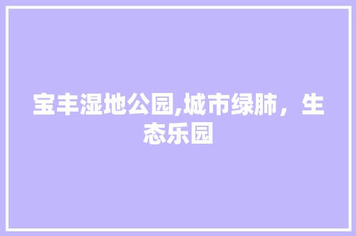 宝丰湿地公园,城市绿肺，生态乐园