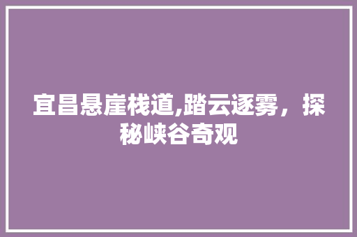 宜昌悬崖栈道,踏云逐雾，探秘峡谷奇观