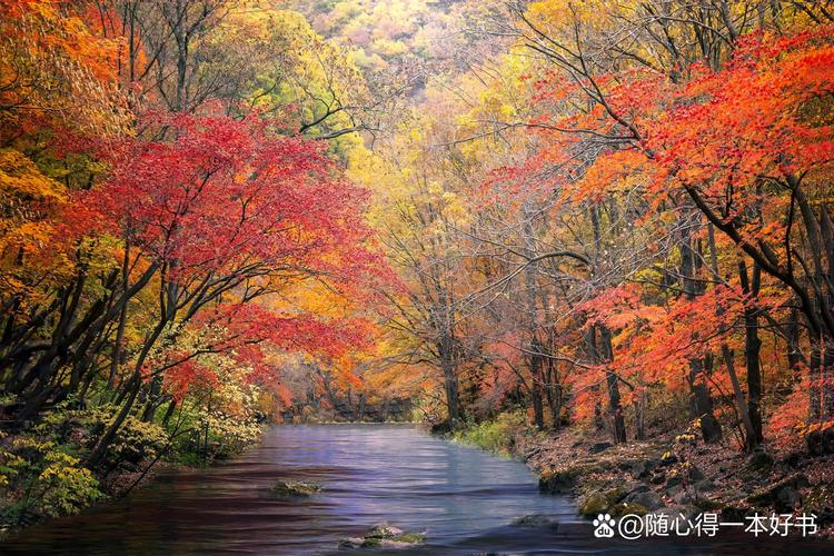 东北赏枫之旅,探寻秋天的色彩盛宴 第2张 东北赏枫之旅,探寻秋天的色彩盛宴 第2张